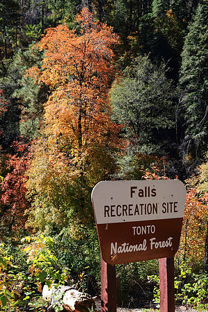 Autumn Falls On Workman Creek