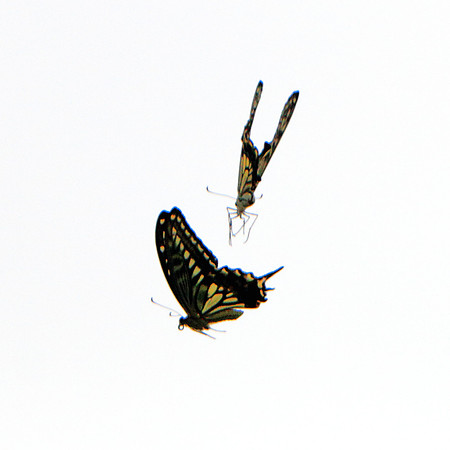 Tour En L'Air