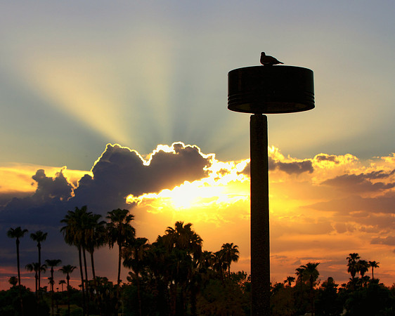 Pledge Of Peace And Sunshine