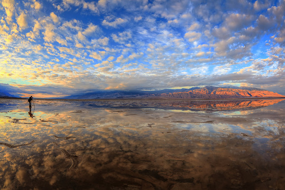 Reflective Emersion
