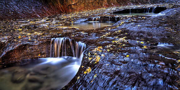 The Attraction Of Water