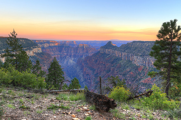 Widforss Trail Sunset Vista