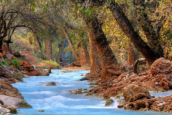 Autumn On Havasu Creek Original Canvas Version