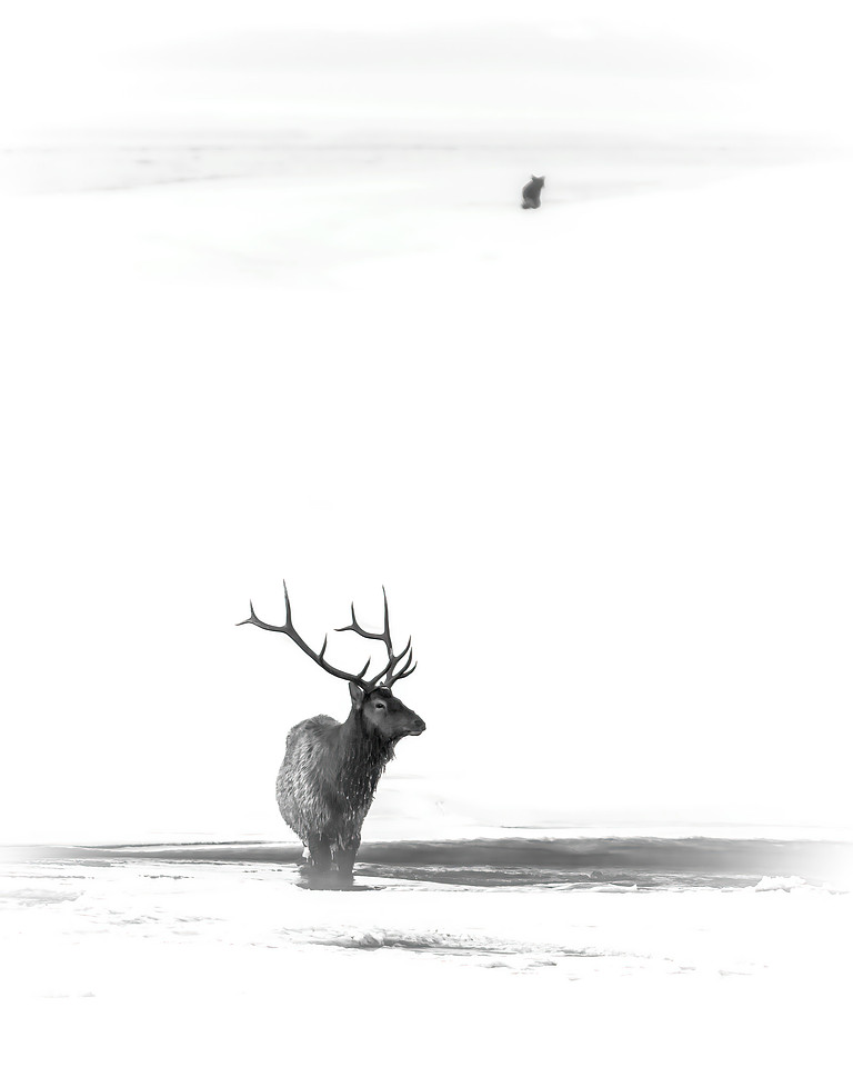 Solitary But Never Alone