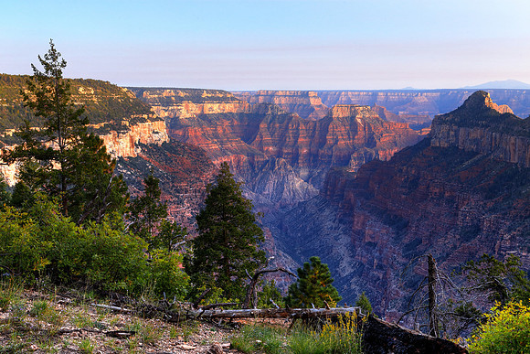 Canyon Sunset On Widforss Trail