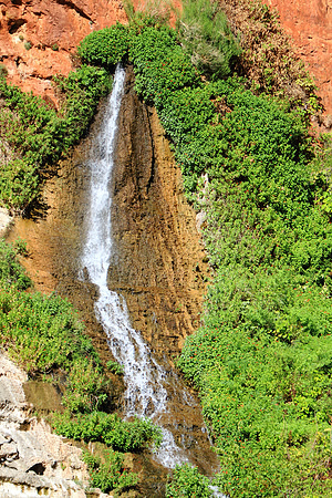 Canyon Walled Spring