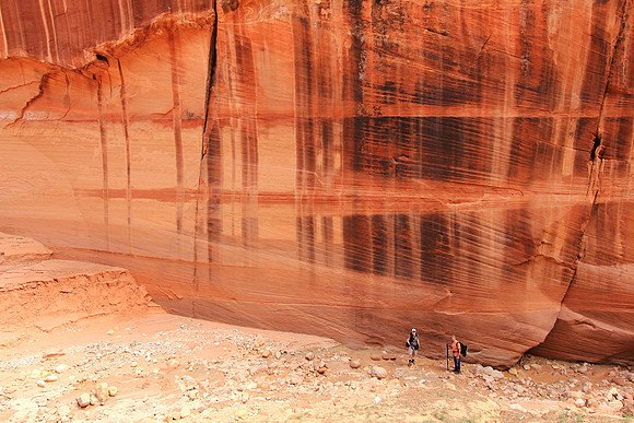 Buckskin Scale
