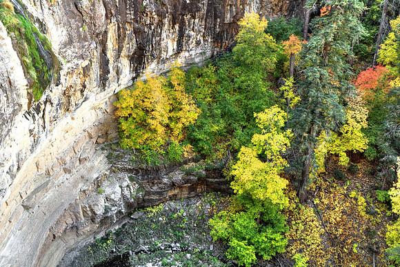 Fall At The Falls