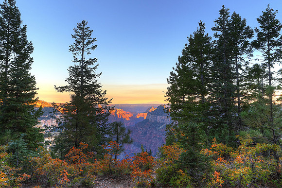 Widforss Autumn Sunset