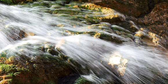 The Flow Of Life