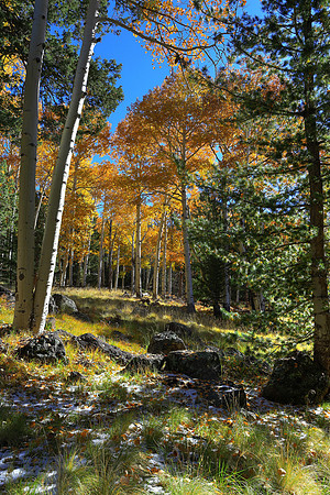 Kachina Trail First Snow
