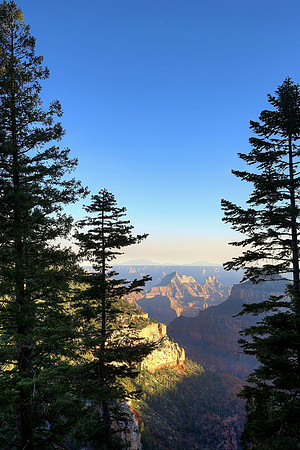 Widforss Vista Through The Trees