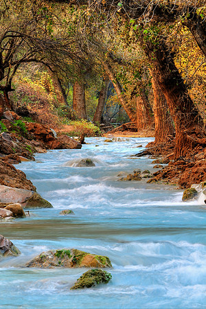 Autumn On Havasu Creek