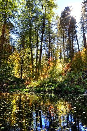 Rising Sun Reflections On Workman Creek