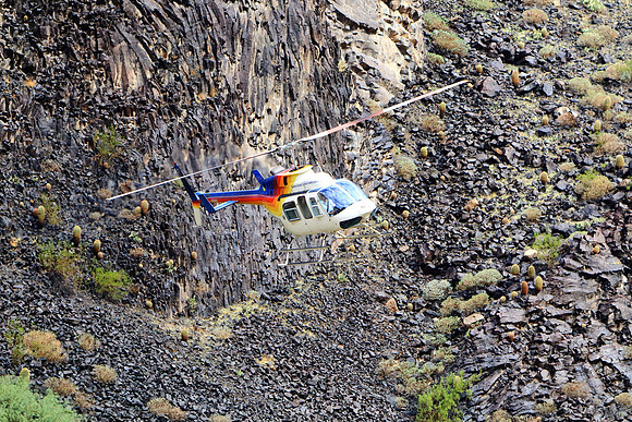 On Approach To Extraction Point