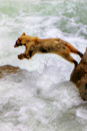 Jumping For Life