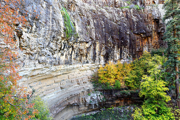 Autumn Decent Of The Falls