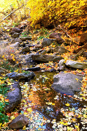 Gold Lining Workman Creek