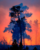 Black And Blue On Burn