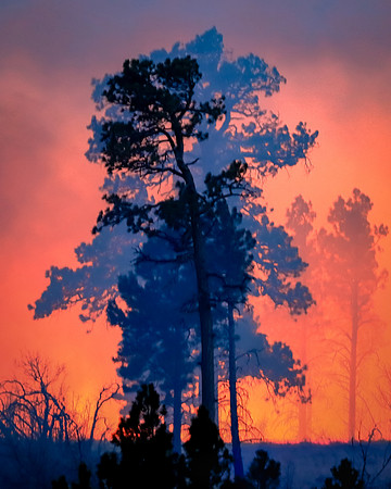 Black And Blue On Burn