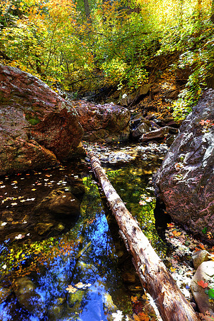 Autumn Harmony