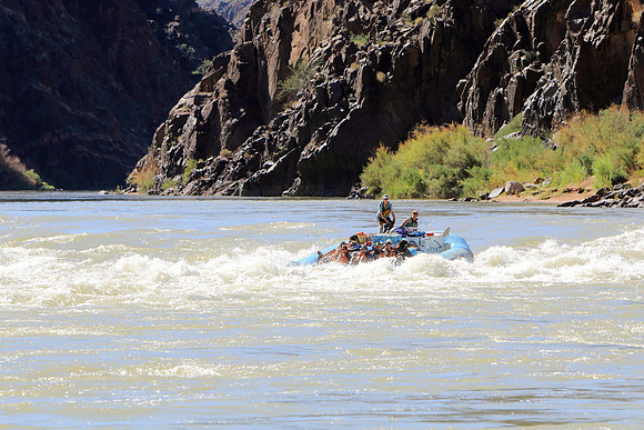Rapid Riffle