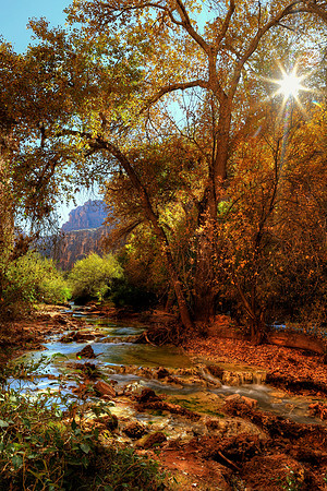 Havasupai Autumn Afternoon