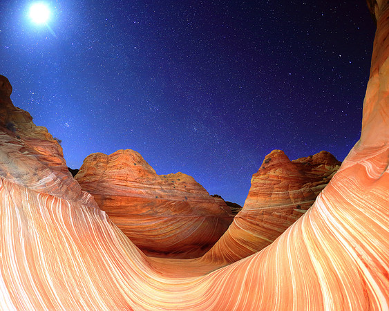 My Wave My Universe
