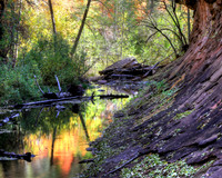 West Fork Color and Character