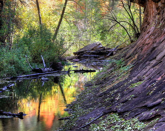 West Fork Color and Character