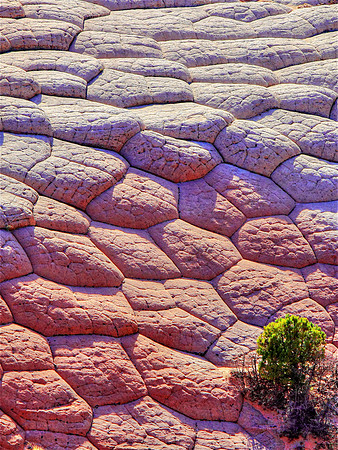 No Ruined Stones