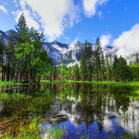 Yosemite Reflections