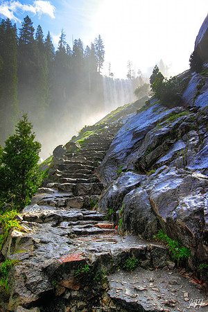 Ascending The Mist