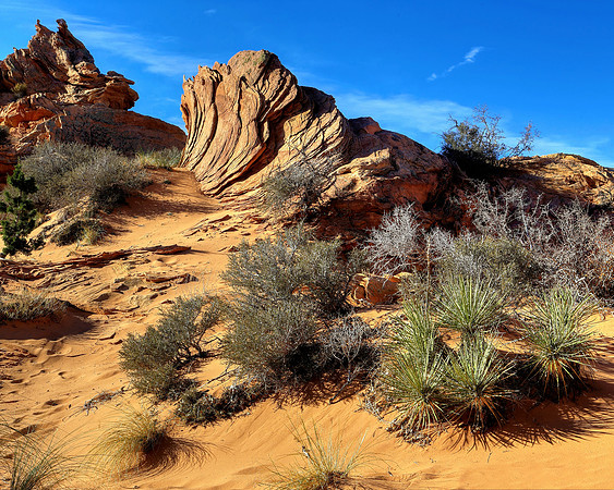 The Trail To Upheaval