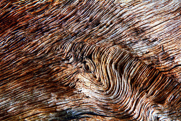 Looking Into The Knot