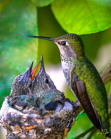Mother's Majesty