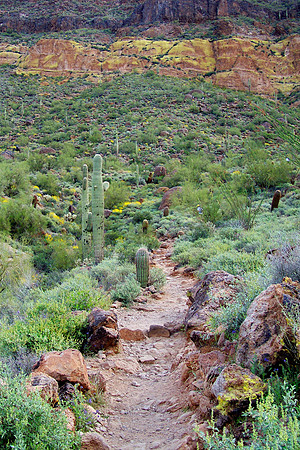 Trail To The Wind Cave