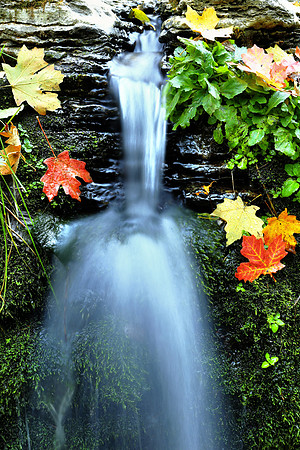 Autumn Mosaic