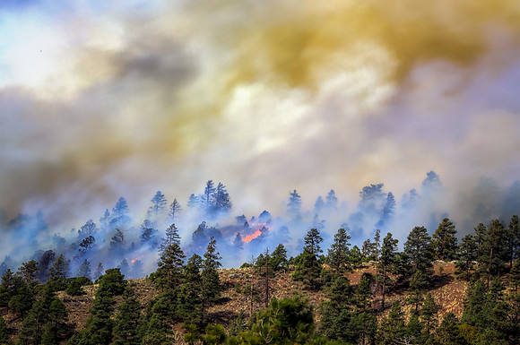 The Fog Of Fire