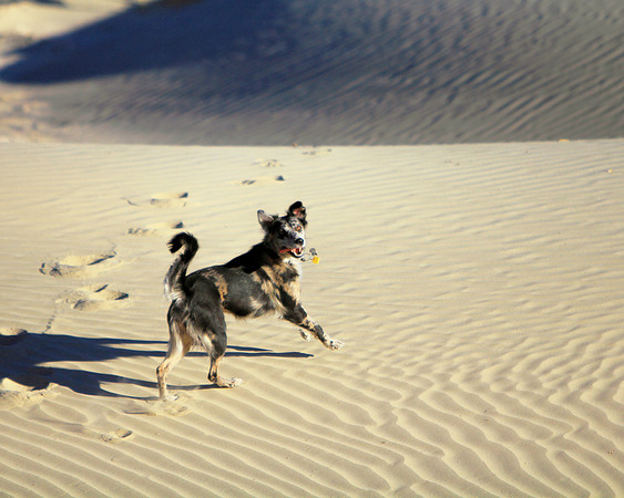 Spirited Sandy Fun