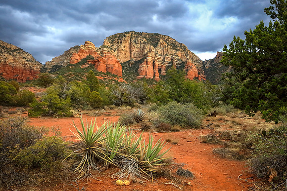 Trail of Sedona Secrets