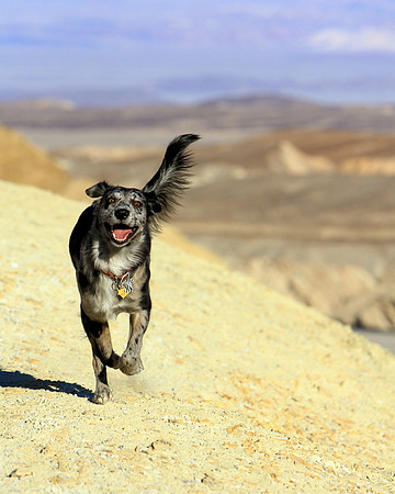Happy Spirit
