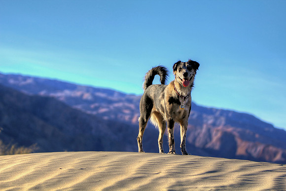 The Spirit Of Death Valley