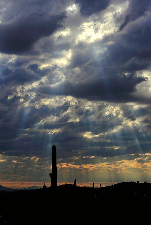 Watching Gleams of Light