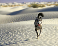 Spirit Of The Sands