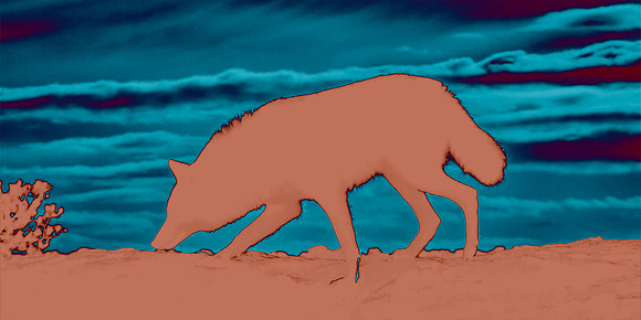 Coyote Lesson - Situational Awareness