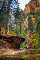 A Place To Ponder West Fork Wonder II