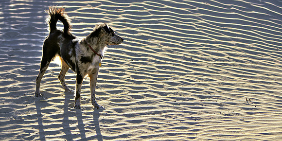 Sand Spirit