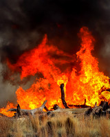 Fire Rider