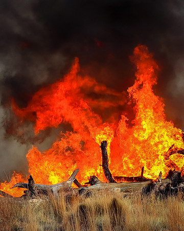 Fire Rider